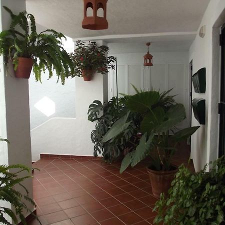 Apartamento En Conil Conil De La Frontera Bagian luar foto