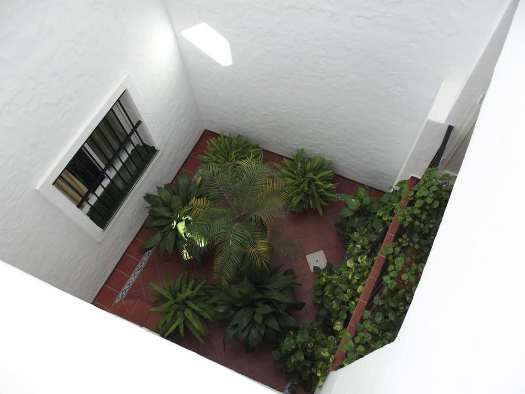Apartamento En Conil Conil De La Frontera Bagian luar foto